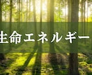 心身のバランスを整えるヒーリングを2週間届けます 免疫力を高めたい方、疲れの溜まっている方にオススメです イメージ1