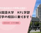 韓国外国語大学KFL学部　正規留学の相談に乗ります 現役の外大KFL学部生があなたの質問にお答えします！ イメージ1