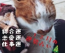 にゃんこ占いでみる12月の運勢＊ほっこり占います 心がふっと軽くなるような、12月の運勢をお届けするにゃよ イメージ1
