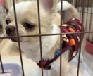 とりあえず聞いてほしい内容から深刻な悩み聞きます 復縁でもOKです。短時間でも対応致します。 イメージ1