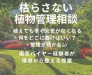 プロが植物の悩み解決します 初心者の方でも分かりやすく丁寧にアドバイスします イメージ1
