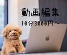 動画のカット・テロップ・SE・BGM入れやります 時間が足りない動画投稿者さんお手伝いします！ イメージ1