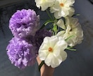 秘密୨୧をこっそり話したい時に…電話で寄り添います 話しにくい秘密の恋愛お悩み癖スピ推し活…偏見なしで男女◯です イメージ6