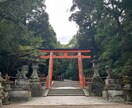 タロットであなたは必要なメッセージを送ります タロットからあなたに必要なメッセージをお伝えします イメージ2