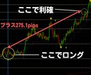 専業FXトレーダーが使用する秘密の手法を教えます 相場にビビる必要一切なし！正攻法を伝授してあなたを勝ち組に！ イメージ5