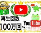 YouTube再生回数+2000サポートします YouTube/再生回数/増やす/収入/拡散/不労所得 イメージ1