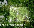 明るさ･色調変更、合成など3枚、写真加工します SNSに投稿する画像や印刷用画像の修正が必要な方に イメージ3