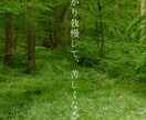 Canvaでおしゃれなリール作成致します Canvaでナチュラル＆おしゃれに魅せるリール動画をお届け！ イメージ8