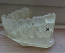 歯科医院限定　骨モデル作成します 歯科の診療で役立つ骨モデルを作成します イメージ1