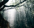 人生に迷ってる方へ。他己分析します 社会を何も知らない現役大学生だからこそできる相談を イメージ2