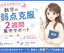 現役医大生が数学苦手単元診断＋2週間サポートします 忙しくても大丈夫。隙間時間に質問・相談できるから続けやすい！ イメージ1