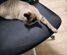 ５日間あなたの悩みを全て受け止めます 看護師、メンタル士心理カウンセラーの資格あり。 イメージ2