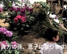 シニア向け)電話の間、貴方の孫、息子になります 親身になって、心を込めて対応致します イメージ1