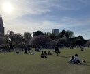 憧れの東京での暮らしを実現させます 上京に関わる不安解消をお手伝いします イメージ3