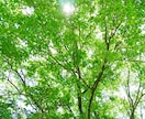 私はあなたの話す内容をもっと聞きたいと思っています 30分チャット✨雑談、愚痴、悩み相談、電話が苦手でも大丈夫！ イメージ2