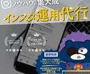 インスタ歴10年現役プロがインスタ運用致します [投稿制作]から[全部丸投げ]なら現役プロにお任せ！ イメージ1