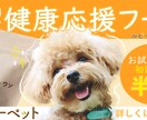 モニター価格でバナー制作いたします かわいくてポップなデザインデザイン得意です！ イメージ1