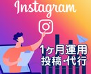 Instagram１ヶ月間投稿•運用代行いたします 結果を出すプロが忙しい貴方の代わりに異次元の運用代行を！ イメージ1
