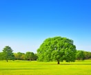 あなたのすべてを受け止めて、全力で応援します まずはあなたの気持ちを吐き出してみませんか？ イメージ1