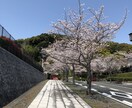 健康に関するコラムなどを書きます 健康や食事に関するコラムや文章をお書きします イメージ1