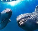 スターシード 皆様向けヒーリング流します 銀河のオアシス、アンドロメダよりエネルギーを流します イメージ2
