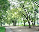 関東限定でデートプランを一緒に考えます デート時の「どうしよう！？」を解決します！ イメージ1