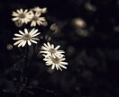本気の人だけ✨4つのクレアで2人の復縁を霊視します 2人の未来や彼の気持ち｜時期・可能性｜縁を結ぶ方法を伝えます イメージ7