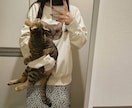 ペットのお写真加工します Tシャツやグッズに使えるようにお写真加工します✨ イメージ4