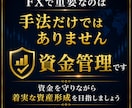 誰もが知りたかったFX資金管理の全てお見せします 5万円から300万円を目指す運用設計図 イメージ8