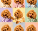 ウチの子を可愛い世界観に加工します 写真1枚で可愛く変身します〜♡♡ イメージ6