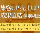 マーケティング、売れる集客戦略の相談に乗ります 初出品記念！60分2,000円で課題抽出から改善策まで提案 イメージ1