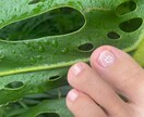 指先から整うネイルデザインします ネイリスト歴15年屋久島から今のあなたに必要な色を イメージ2