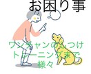 ワンチャンのしつけ〜トレーニングなんでも解決します お家でのおトイレ問題、お散歩での引張、吠えや様々なトリック イメージ1