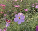 絶対に否定せずあなたのどんなお話でも聞きます どんな話でも必ず受け止め、あなたを肯定します。 イメージ1