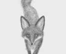 ペン画イラスト描きます モノクロタッチの個性ある動物イラストで目を惹きませんか？ イメージ5