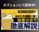 代謝爆アゲに向けて集中サポートをします 栄養指導士が行う代謝改善であなたをトータルサポート イメージ8