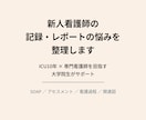 新人看護師の記録とアセスメントの相談のります 記録とアセスメントで困る新人看護師をサポート イメージ1