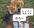 この恋どうなるにゃ？にゃんこ写真を添えて占います 気になる恋の未来を猫と一緒にタロットで占います イメージ1