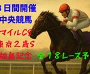 今週は３日間開催❗️中央競馬勝負レース予想します 絶好調馬券術❗️マイルチャンピオンシップなど全１８レース予想 イメージ1