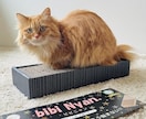 猫のプロが教える！スマホ撮影上達をサポートします 猫歴20匹×プロ18年の撮影添削 イメージ1