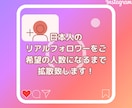 インスタの日本人フォロワー＋１００人まで拡散します 性別指定もゆっくり増加も可能！最大3万まで日本に拡散します！ イメージ2
