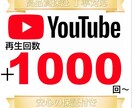 YouTubeの再生回数＋1000回増やします 補償あり！他のサービスも見てね！ イメージ1