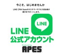 期間限定　LINE開設〜運用サポートします 2枠限定。LINE CRMツールCS担当がサポートします。 イメージ3