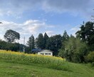 恋愛の質問に答えます 私なりにささいな恋愛の質問にお答えします。 イメージ2