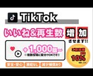 TikTok　いいね&再生数増やします 【+1000回〜】最安値！最高品質！減少補償あり！ イメージ1