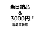 素早い納品，高品質の動画編集，動画広告を行います 現役YouTuberが貴方のご希望に沿った動画編集を行います イメージ1