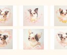 ペットのイラストをおしゃれなパネルにします パネル＆データお渡し＊プレゼントにも喜ばれています。 イメージ5