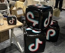 TikTok shopをサポートします 元TikTok運用側が教えるゼロから売上 イメージ3