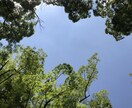 貴方が嫌いな自分自身を癒して許して手離します 幸せを知ってください。人は幸せにしかならないのです。 イメージ3