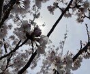溜まってること、お聞きします 悩みや愚痴の吐き口にどうぞお聞きまします´`* イメージ3